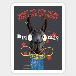 What Do You Mean You Live Without Drama?! Drama Queen Llama with big eyes and blue sweater Magnet